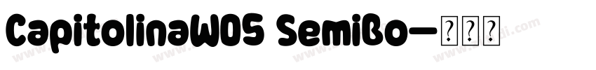 CapitolinaW05 SemiBo字体转换